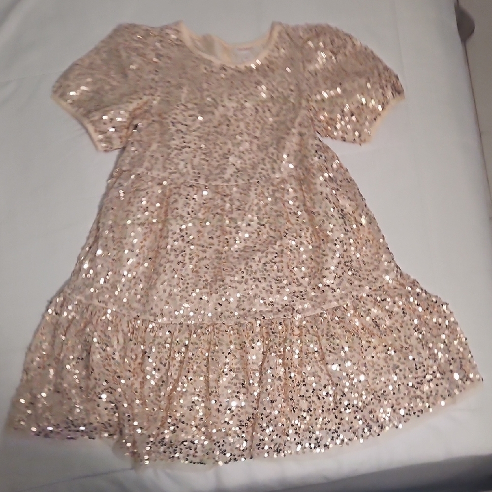 Sparkling Sequin Dress